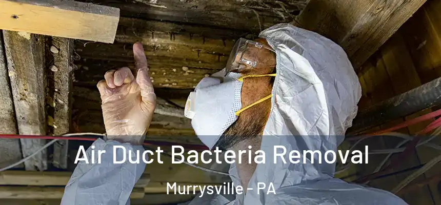  Air Duct Bacteria Removal Murrysville - PA