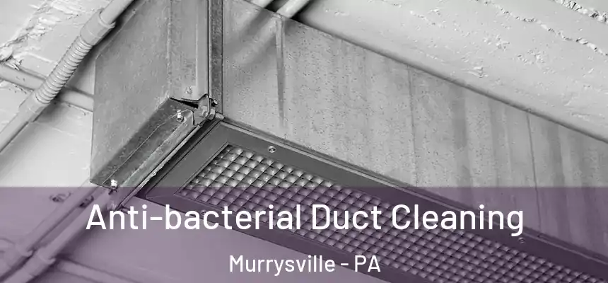  Anti-bacterial Duct Cleaning Murrysville - PA