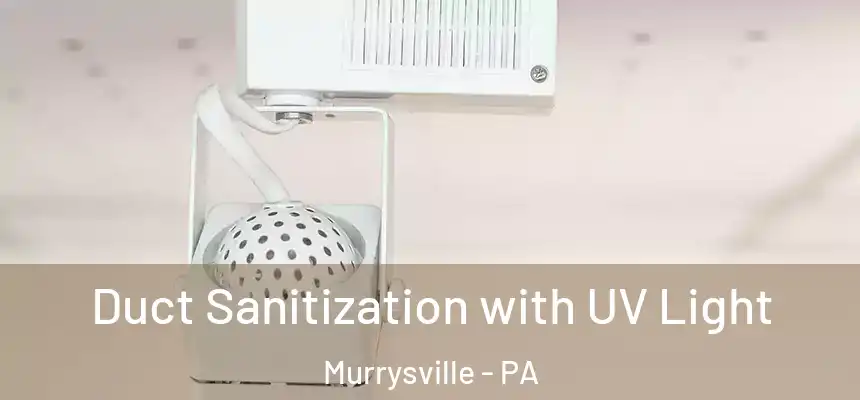  Duct Sanitization with UV Light Murrysville - PA
