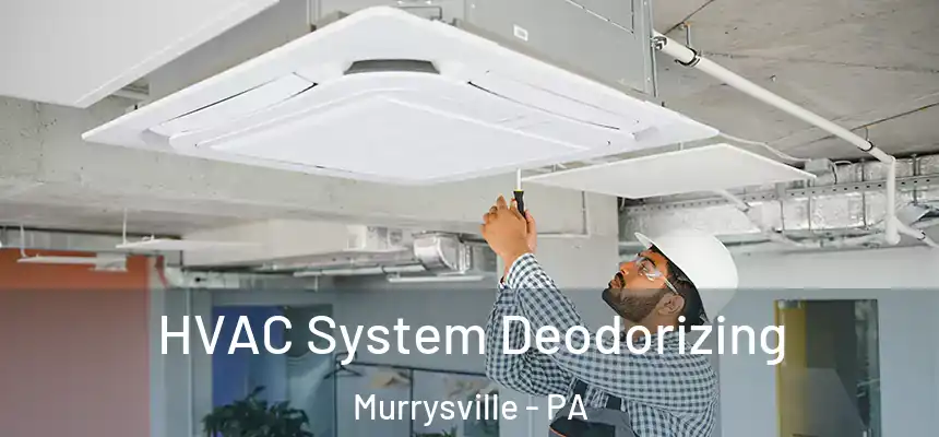 HVAC System Deodorizing Murrysville - PA