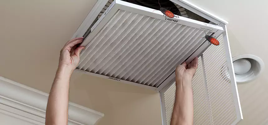 Preventive Cockroach-Proofing for Ducts in Murrysville
