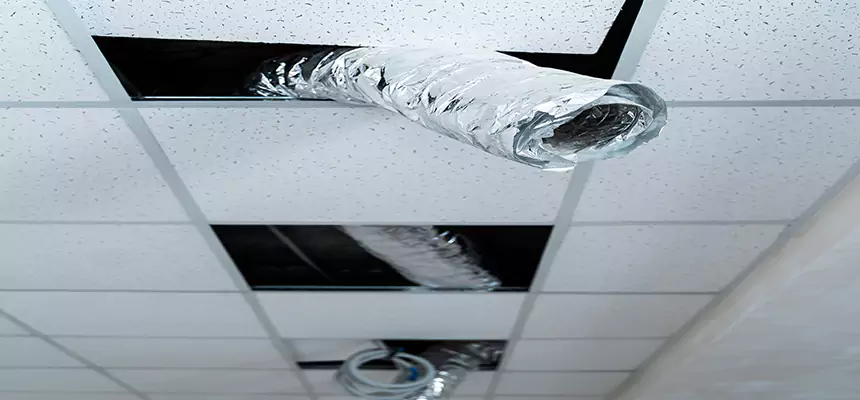 Our Air Duct Pet Hair Removal Services in Murrysville, PA