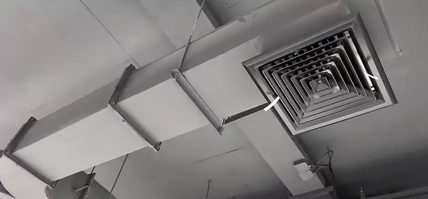 Restorative Allergy Relief Vent Cleaning – Coil, Blower & Housing Detail in Murrysville