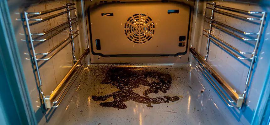 Our Dryer Vent Mold Cleaning Services in Murrysville, PA