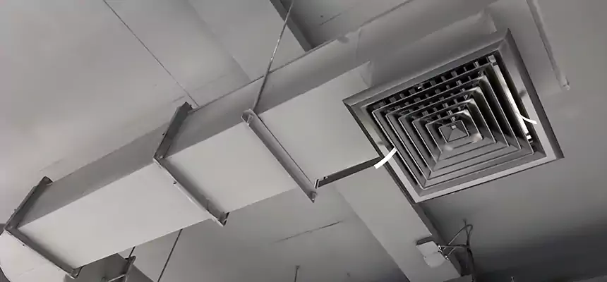 Our Pest Removal From Ducts Services in Murrysville, PA