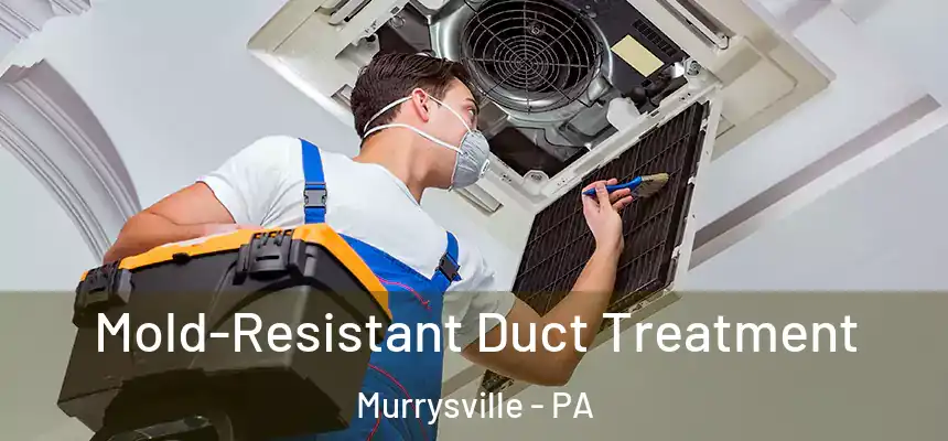  Mold-Resistant Duct Treatment Murrysville - PA