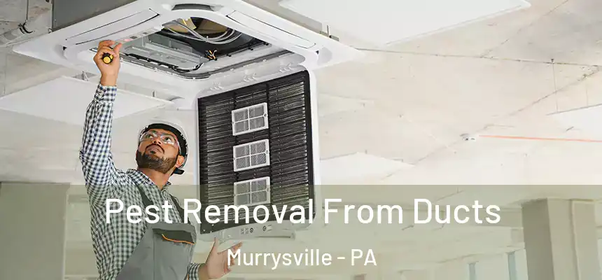  Pest Removal From Ducts Murrysville - PA