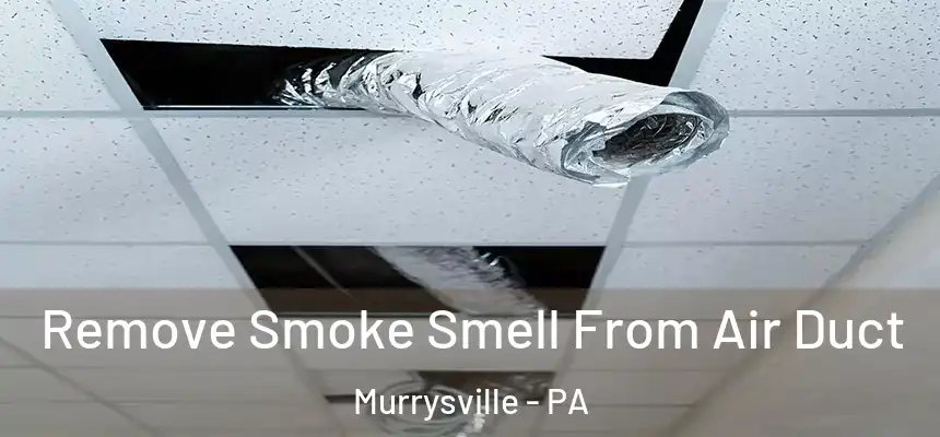  Remove Smoke Smell From Air Duct Murrysville - PA