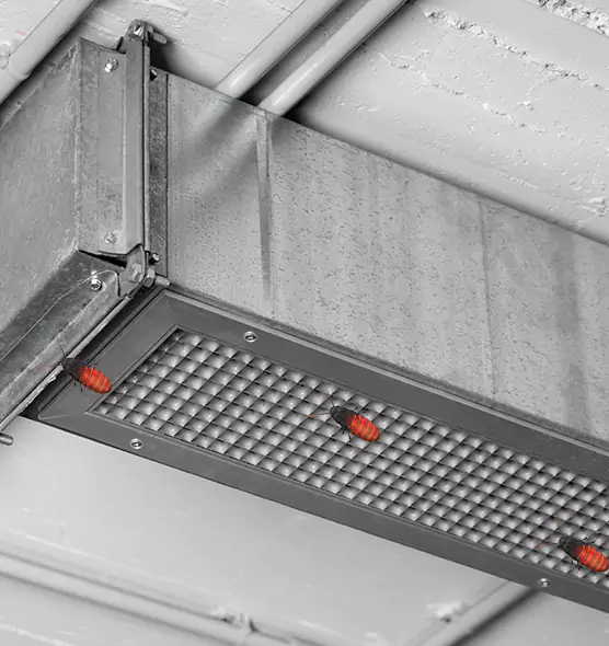 About Air Duct Cockroach Removal in Murrysville, PA