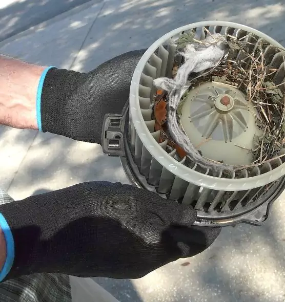 About Air Duct Rat Removal in Murrysville, PA