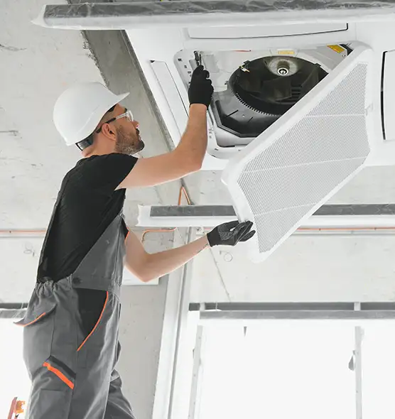 About Air Duct Rodent Removal in Murrysville, PA