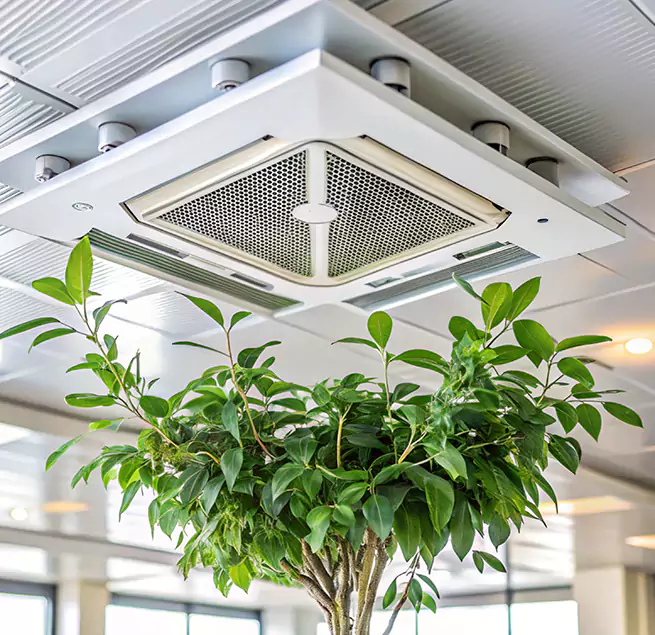 Why Homeowners & Businesses Trust Us in Murrysville, PA