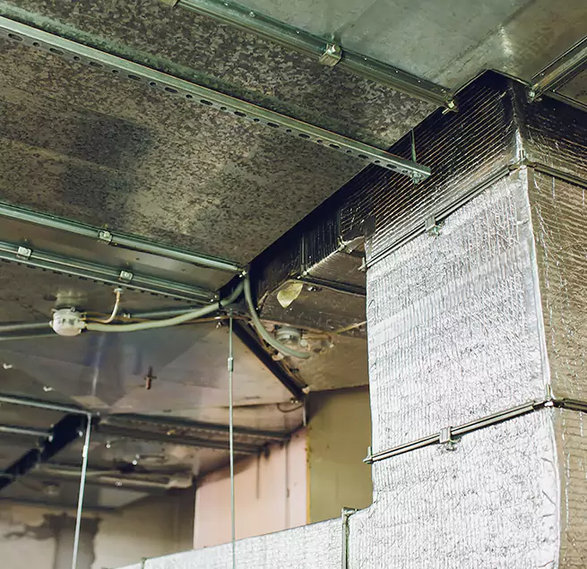 Why Homeowners & Businesses Trust Us in Murrysville, PA?